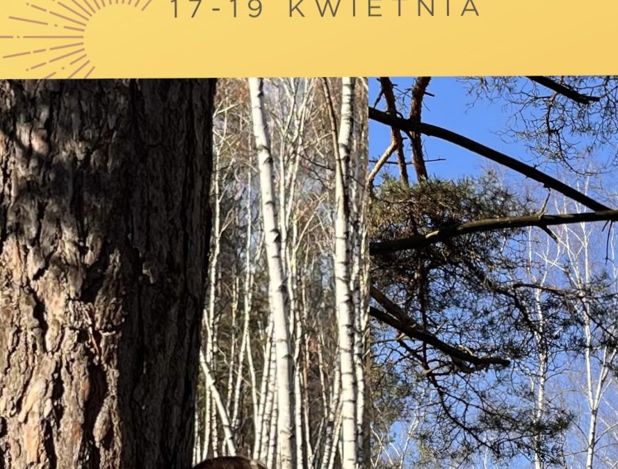 Radosny weekend nad Biebrzą 17 – 19 kwietnia